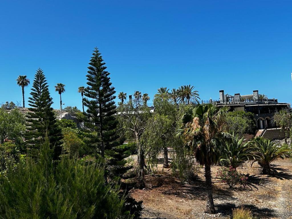 Villa Natali ,Luxury 3-Levels Large Villa On Tenerife, Ocean View, Private Poo L& Barbecue Area Адехе Екстер'єр фото